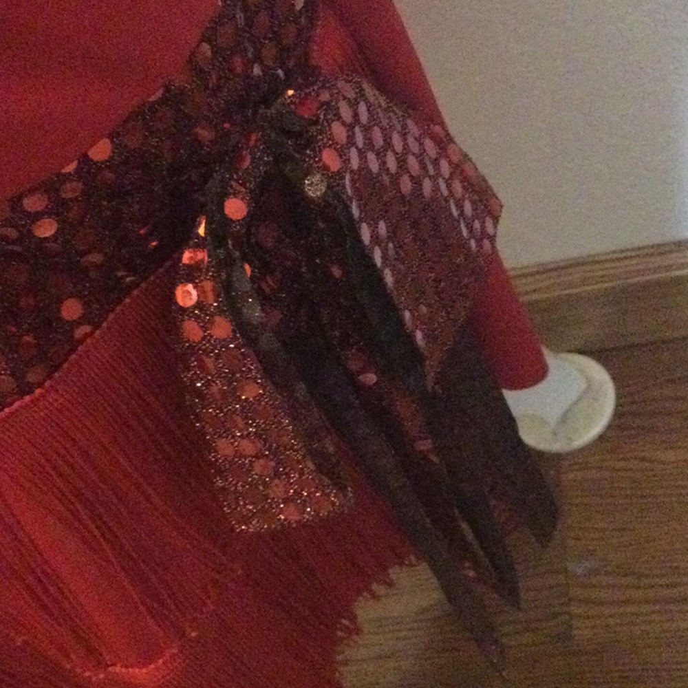 Halloween costume flapper dress NWOT - Picture 4 of 7